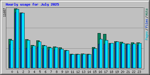 Hourly usage for July 2025