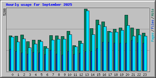 Hourly usage for September 2025