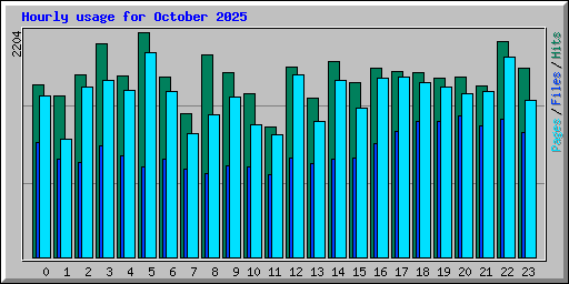 Hourly usage for October 2025