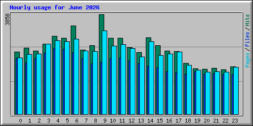 Hourly usage for June 2026